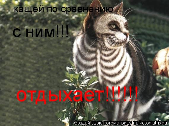 Котоматрица: кащей по сравнению с ним!!! отдыхает!!!!!!