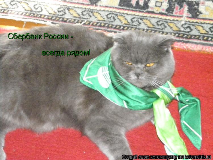 Котоматрица: Сбербанк России - всегда рядом!