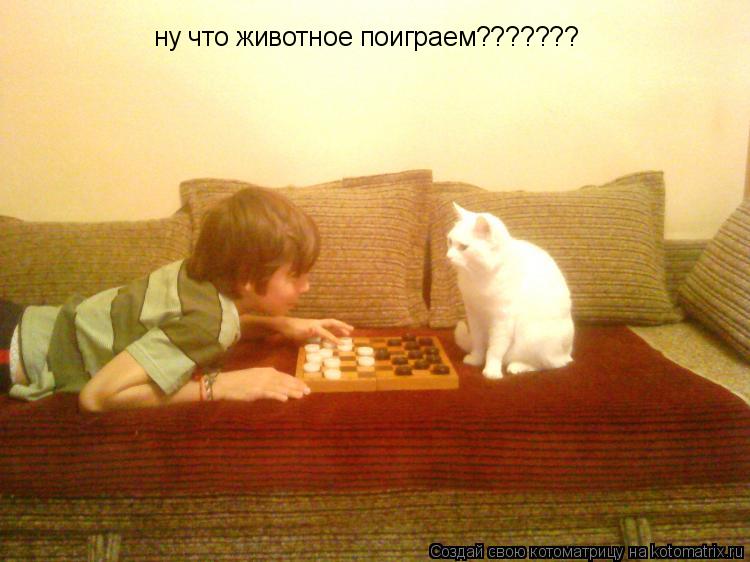 Котоматрица: ну что животное поиграем???????
