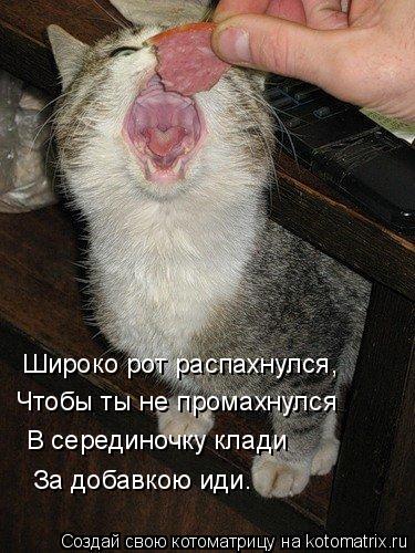 Котоматрица: Широко рот распахнулся, Чтобы ты не промахнулся В серединочку клади За добавкою иди.