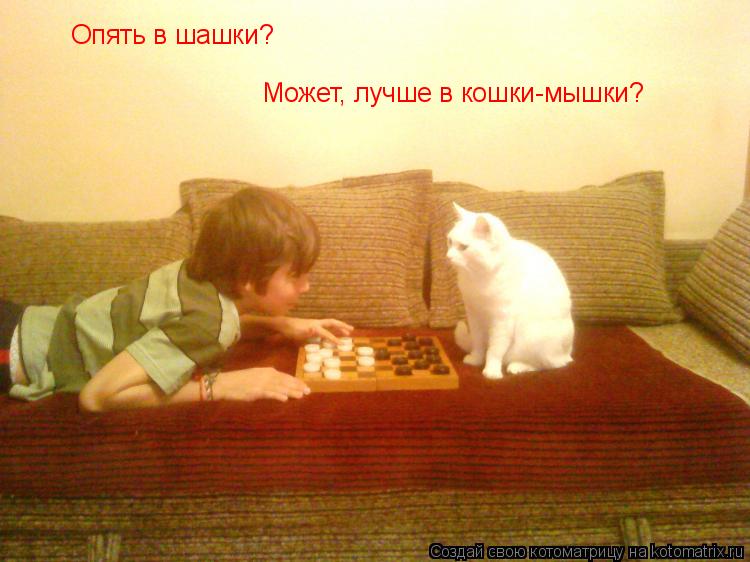 Котоматрица: Может, лучше в кошки-мышки? Опять в шашки?