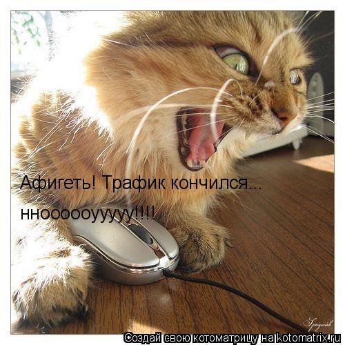 Котоматрица: Афигеть! Трафик кончился... нноооооууууу!!!!
