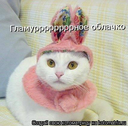Котоматрица: Гламуррррррррное облачко