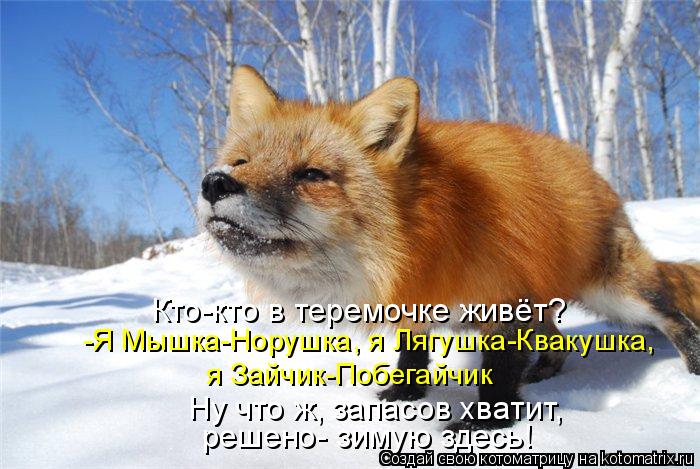 Котоматрица: Кто-кто в теремочке живёт? -Я Мышка-Норушка, я Лягушка-Квакушка, я Зайчик-Побегайчик Ну что ж, запасов хватит, решено- зимую здесь!