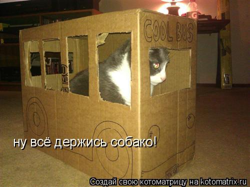 Котоматрица: ну всё держись собако!