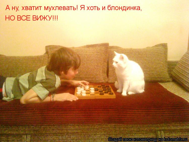Котоматрица: А ну, хватит мухлевать! Я хоть и блондинка, НО ВСЕ ВИЖУ!!!