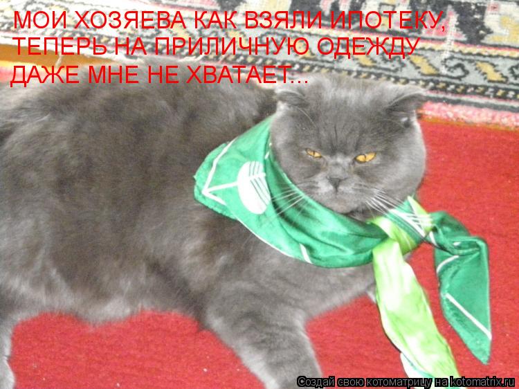 МОИ ХОЗЯЕВА КАК ВЗЯЛИ ИПОТЕКУ, ТЕПЕРЬ НА ПРИЛИЧНУЮ ОДЕЖДУ ДАЖЕ МНЕ НЕ ХВАТАЕТ...... Котоматрица: МОИ ХОЗЯЕВА КАК ВЗЯЛИ ИПОТЕКУ, ТЕПЕРЬ НА ПРИЛИЧНУЮ ОДЕЖДУ ДАЖЕ МНЕ НЕ ХВАТАЕТ...