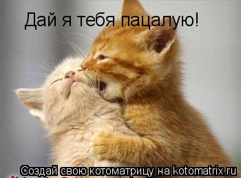 Котоматрица: Дай я тебя пацалую!