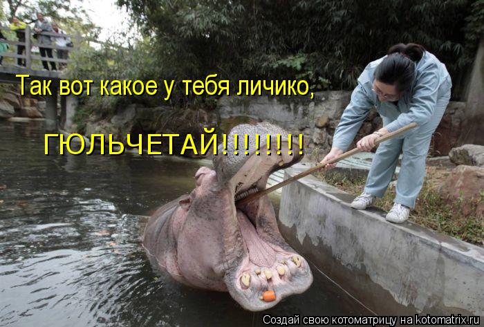 Котоматрица: Так вот какое у тебя личико, ГЮЛЬЧЕТАЙ!!!!!!!!