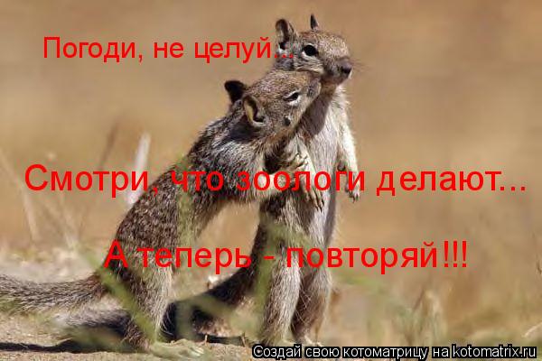 Котоматрица: Погоди, не целуй... Смотри, что зоологи делают... А теперь - повторяй!!!