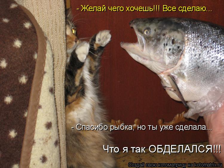 - Желай чего хочешь!!! Все сделаю... - Спасибо рыбка, но ты уже сделала... Что я так ОБДЕЛАЛСЯ!!!... Котоматрица: - Желай чего хочешь!!! Все сделаю... - Спасибо рыбка, но ты уже сделала... Что я так ОБДЕЛАЛСЯ!!!