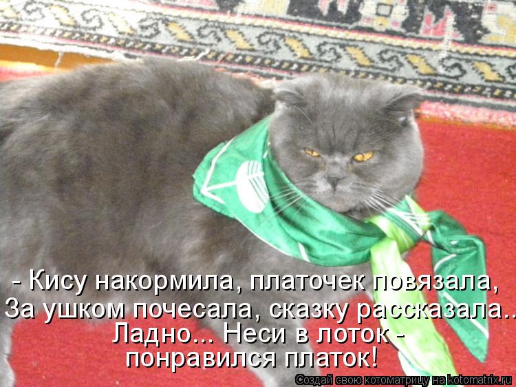 Котоматрица: - Кису накормила, платочек повязала, За ушком почесала, сказку рассказала... Ладно... Неси в лоток -  понравился платок!