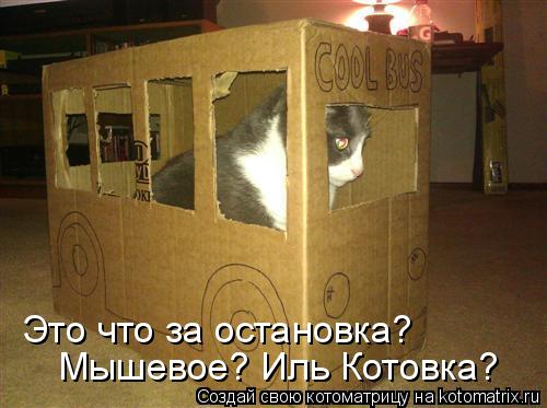 Это что за остановка? Мышевое? Иль Котовка?... Котоматрица: Это что за остановка? Мышевое? Иль Котовка?