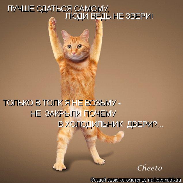 Котоматрица: ЛУЧШЕ СДАТЬСЯ САМОМУ, ЛЮДИ ВЕДЬ НЕ ЗВЕРИ! ТОЛЬКО В ТОЛК Я НЕ ВОЗЬМУ - НЕ  ЗАКРЫЛИ ПОЧЕМУ В ХОЛОДИЛЬНИК  ДВЕРИ?...