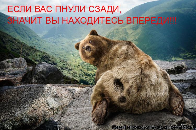 Котоматрица: ЕСЛИ ВАС ПНУЛИ СЗАДИ, ЗНАЧИТ ВЫ НАХОДИТЕСЬ ВПЕРЕДИ!!!
