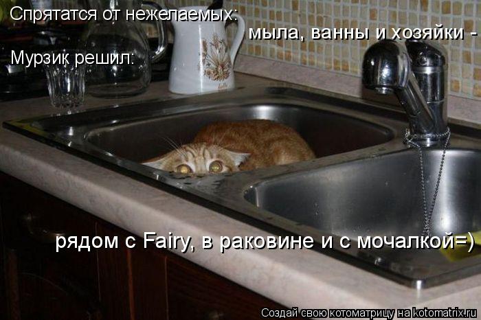 Спрятатся от нежелаемых: мыла, ванны и хозяйки - Мурзик решил: рядом с Fairy, в раковине и с мочалкой... Котоматрица: Спрятатся от нежелаемых: мыла, ванны и хозяйки - Мурзик решил: рядом с Fairy, в раковине и с мочалкой=)