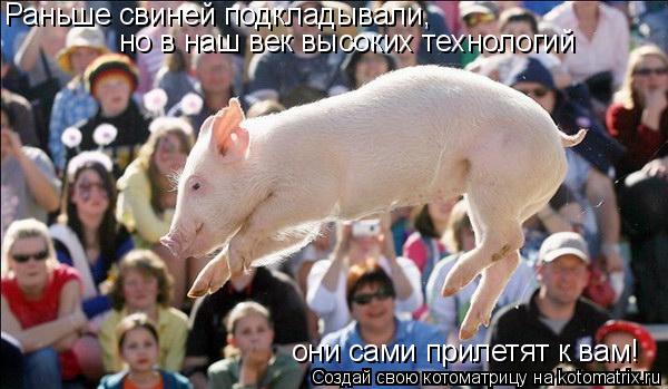 Котоматрица: Раньше свиней подкладывали, но в наш век высоких технологий они сами прилетят к вам!