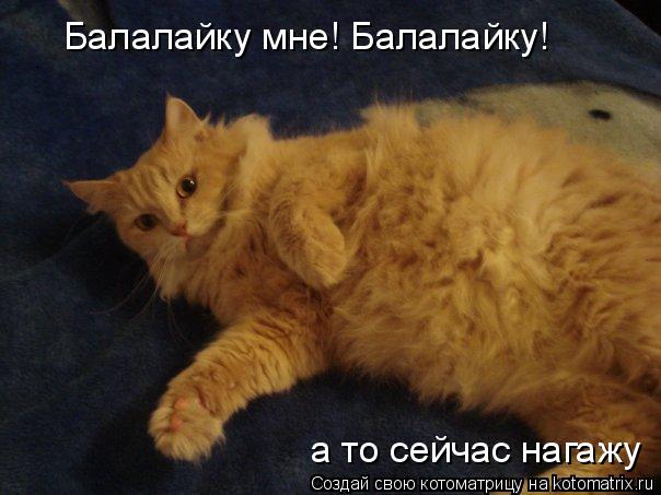 Балалайку мне! Балалайку! а то сейчас нагажу... Котоматрица: Балалайку мне! Балалайку! а то сейчас нагажу