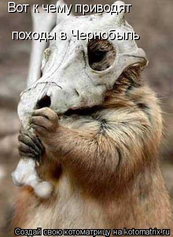 Вот к чему приводят походы в Чернобыль... Котоматрица: Вот к чему приводят походы в Чернобыль