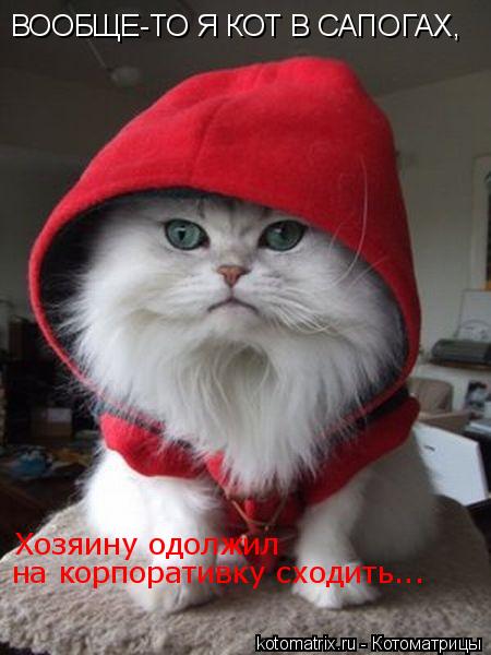 ВООБЩЕ-ТО Я КОТ В САПОГАХ, Хозяину одолжил на корпоративку сходить...... Котоматрица: ВООБЩЕ-ТО Я КОТ В САПОГАХ, Хозяину одолжил на корпоративку сходить...