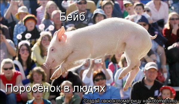 Бейб. Поросёнок в людях... Котоматрица: Бейб. Поросёнок в людях