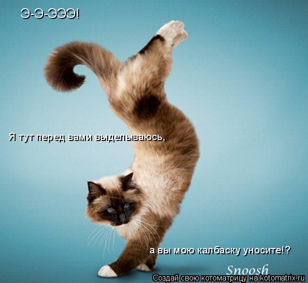 Э-Э-ЭЭЭ! Я тут перед вами выделываюсь, а вы мою калбаску уносите!?... Котоматрица: Э-Э-ЭЭЭ! Я тут перед вами выделываюсь, а вы мою калбаску уносите!?