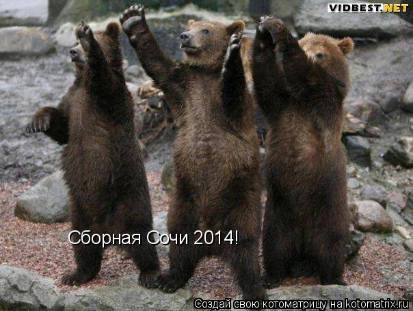Сборная Сочи 2014!... Котоматрица: Сборная Сочи 2014!