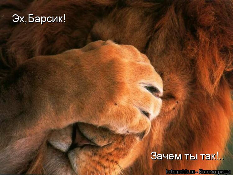 Эх,Барсик! Зачем ты так!..... Котоматрица: Эх,Барсик! Зачем ты так!..