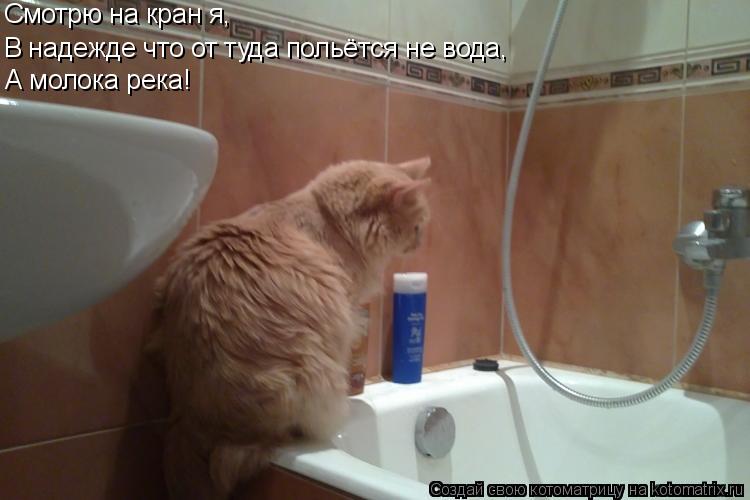 Смотрю на кран я, В надежде что от туда польётся не вода, А молока река!... Котоматрица: Смотрю на кран я, В надежде что от туда польётся не вода, А молока река!
