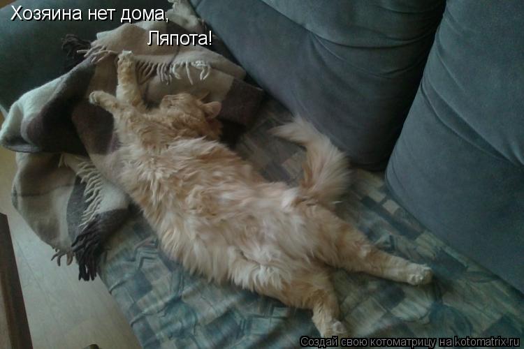Хозяина нет дома, Ляпота!... Котоматрица: Хозяина нет дома, Ляпота!