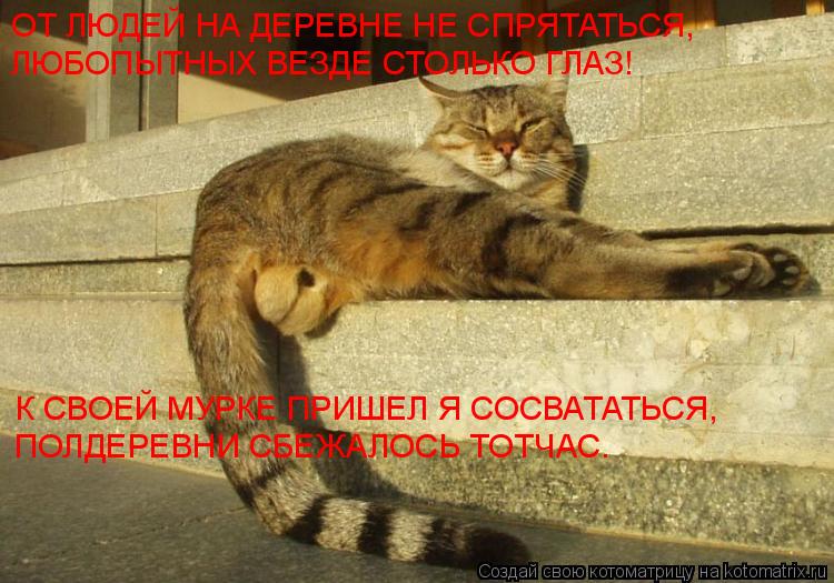 ОТ ЛЮДЕЙ НА ДЕРЕВНЕ НЕ СПРЯТАТЬСЯ, К СВОЕЙ МУРКЕ ПРИШЕЛ Я СОСВАТАТЬСЯ, ПОЛДЕРЕВНИ СБЕЖАЛОСЬ ТОТЧАС. Л... Котоматрица: ОТ ЛЮДЕЙ НА ДЕРЕВНЕ НЕ СПРЯТАТЬСЯ, К СВОЕЙ МУРКЕ ПРИШЕЛ Я СОСВАТАТЬСЯ, ПОЛДЕРЕВНИ СБЕЖАЛОСЬ ТОТЧАС. ЛЮБОПЫТНЫХ ВЕЗДЕ СТОЛЬКО ГЛАЗ!