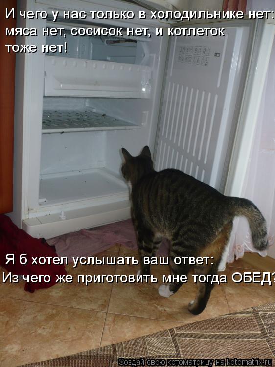 И чего у нас только в холодильнике нет: мяса нет, сосисок нет, и котлеток тоже нет! Я б хотел услыша... Котоматрица: И чего у нас только в холодильнике нет: мяса нет, сосисок нет, и котлеток тоже нет! Я б хотел услышать ваш ответ: Из чего же приготовить мне то