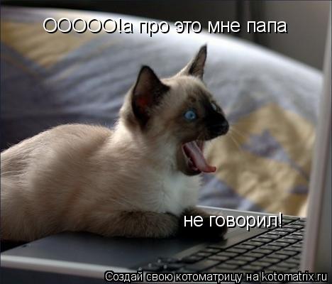 ООООО!а про это мне папа ООООО!а про это мне папа не говорил!... Котоматрица: ООООО!а про это мне папа ООООО!а про это мне папа не говорил!