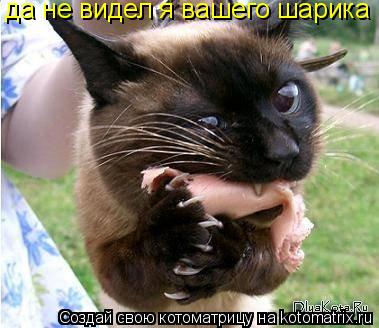 Котоматрица: да не видел я вашего шарика