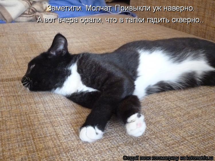 Заметили. Молчат. Привыкли уж наверно. А вот вчера орали, что в тапки гадить скверно..... Котоматрица: Заметили. Молчат. Привыкли уж наверно. А вот вчера орали, что в тапки гадить скверно..