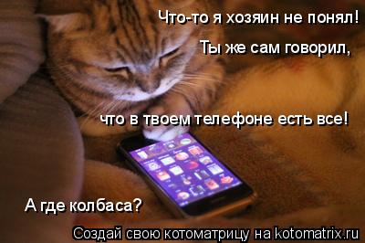 Котоматрица: Что-то я хозяин не понял! Ты же сам говорил, что в твоем телефоне есть все! А где колбаса?