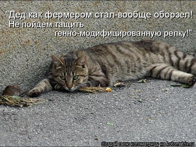 Котоматрица: "Дед как фермером стал-вообще оборзел! Не пойдем тащить генно-модифицированную репку!"