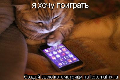 Котоматрица: я хочу поиграть