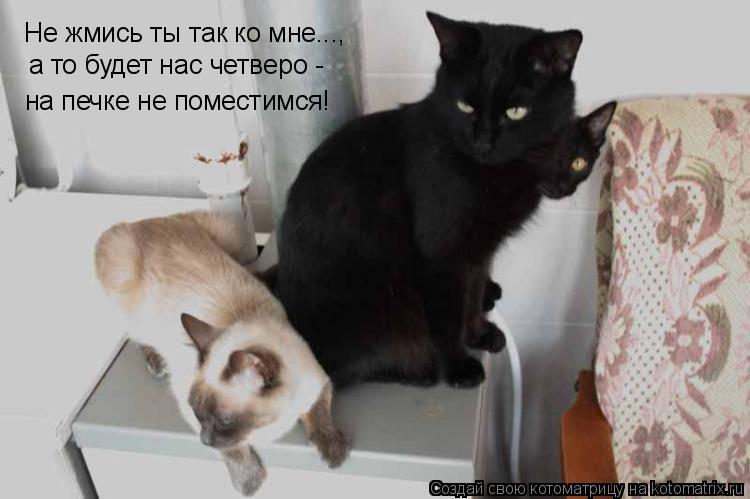 Котоматрица: Не жмись ты так ко мне..., на печке не поместимся! а то будет нас четверо -