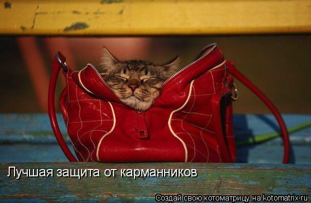 Лучшая защита от карманников... Котоматрица: Лучшая защита от карманников