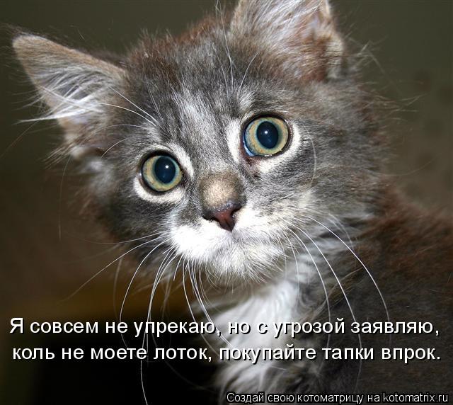 Я совсем не упрекаю, но с угрозой заявляю, коль не моете лоток, покупайте тапки впрок.... Котоматрица: Я совсем не упрекаю, но с угрозой заявляю, коль не моете лоток, покупайте тапки впрок.