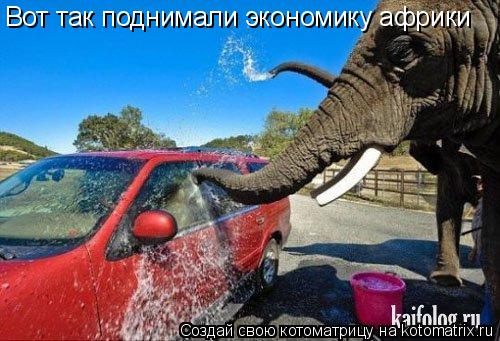 Котоматрица: Вот так поднимали экономику африки