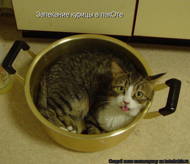 Котоматрица: Запекание курицы в пакОте