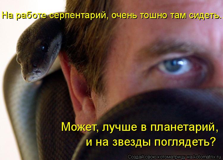 Котоматрица: На работе серпентарий, очень тошно там сидеть... Может, лучше в планетарий,  и на звезды поглядеть?