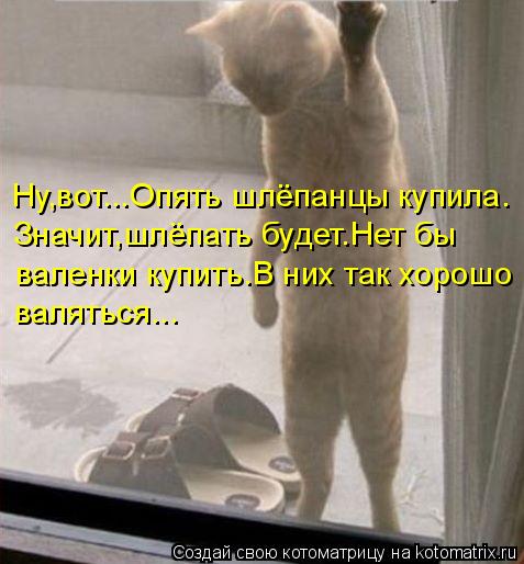 Ну,вот...Опять шлёпанцы купила. Значит,шлёпать будет.Нет бы валяться... валенки купить.В них так хоро... Котоматрица: Ну,вот...Опять шлёпанцы купила. Значит,шлёпать будет.Нет бы валяться... валенки купить.В них так хорошо