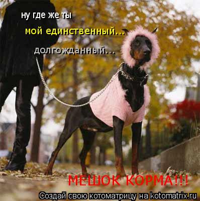 ну где же ты мой единственный... долгожданный... МЕШОК КОРМА!!!... Котоматрица: ну где же ты мой единственный... долгожданный... МЕШОК КОРМА!!!