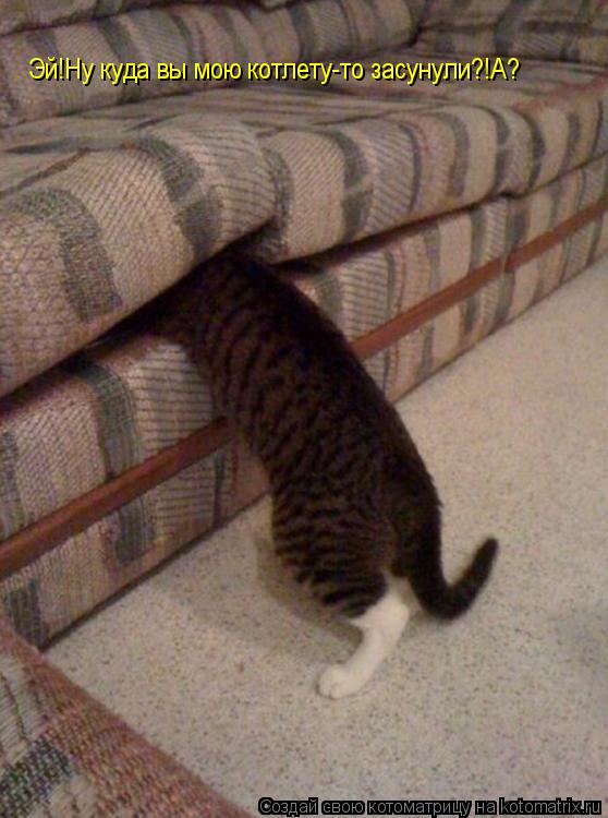 Эй!Ну куда вы мою котлету-то засунули?!А?... Котоматрица: Эй!Ну куда вы мою котлету-то засунули?!А?