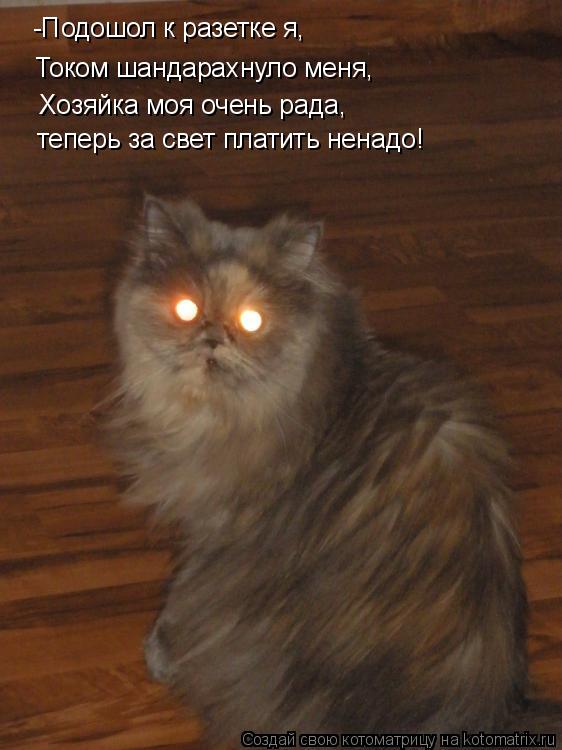 -Подошол к разетке я, Током шандарахнуло меня, Хозяйка моя очень рада, теперь за свет платить ненадо!... Котоматрица: -Подошол к разетке я, Током шандарахнуло меня, Хозяйка моя очень рада, теперь за свет платить ненадо!