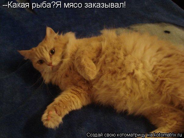 --Какая рыба?Я мясо заказывал!... Котоматрица: --Какая рыба?Я мясо заказывал!