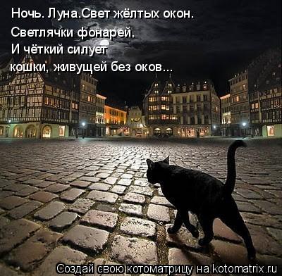 Ночь. Луна.Свет жёлтых окон. Светлячки фонарей. И чёткий силует кошки, живущей без оков...... Котоматрица: Ночь. Луна.Свет жёлтых окон. Светлячки фонарей. И чёткий силует кошки, живущей без оков...